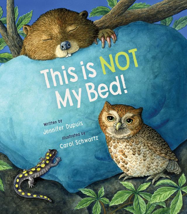 This Is Not My Bed! by Carol Schwartz, Jennifer Dupuis