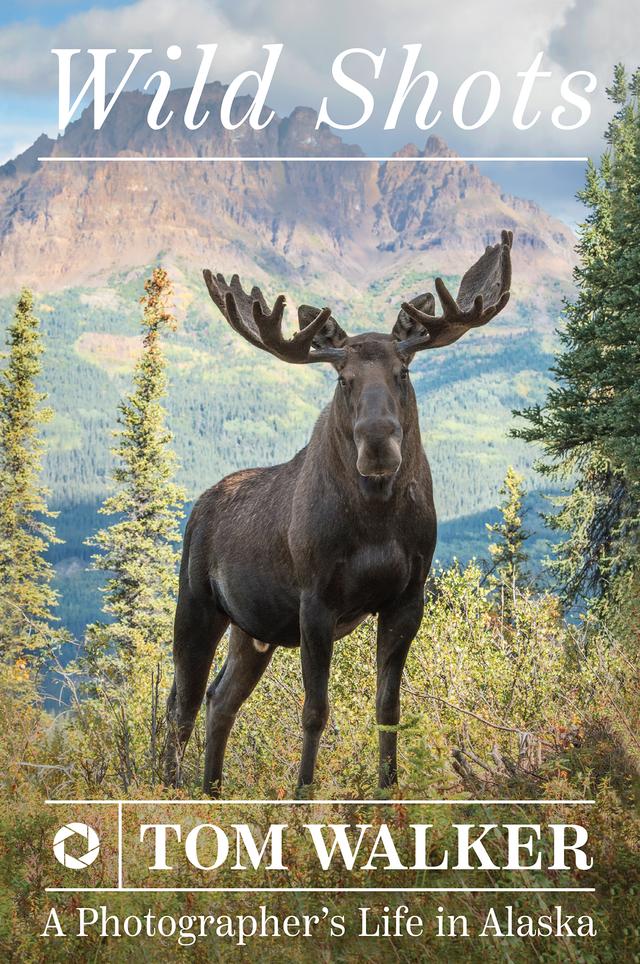 Wild Shots by Tom Walker