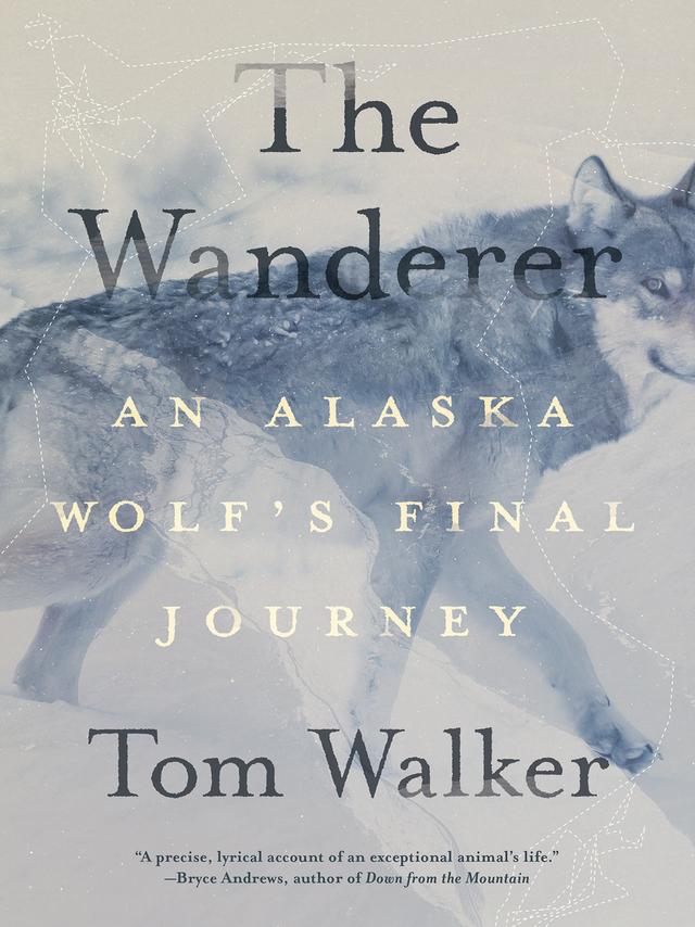 The Wanderer by Tom Walker