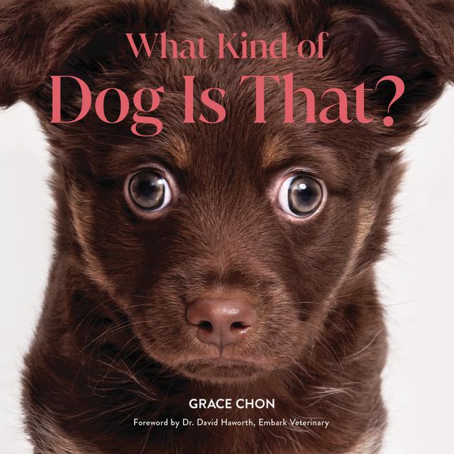 What Kind of Dog Is That? by David Haworth, Grace Chon