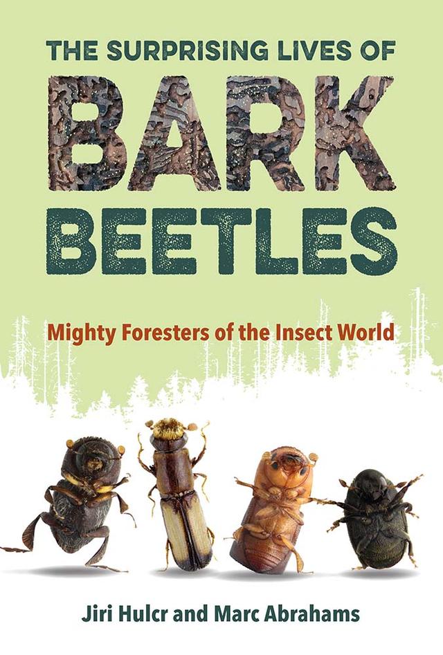 The Surprising Lives of Bark Beetles by Jiri Hulcr, Marc Abrahams