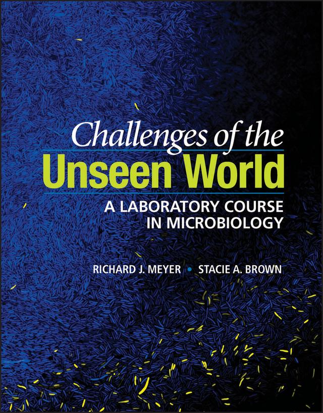 Challenges of the Unseen World by Richard J. Meyer, Stacie A. Brown
