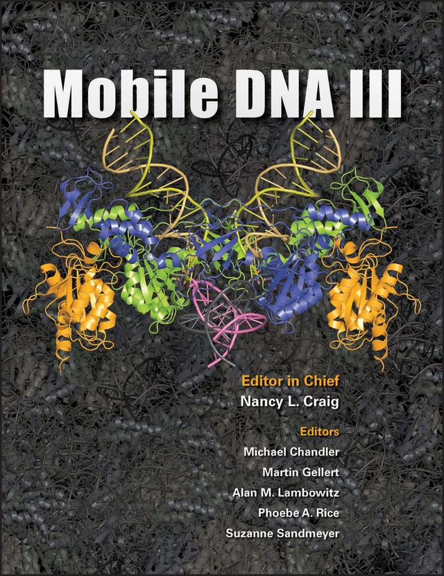 Mobile DNA III by Alan M. Lambowitz, Martin Gellert, Michael Chandler, Nancy L. Craig, Phoebe A. Rice, Suzanne B. Sandmeyer