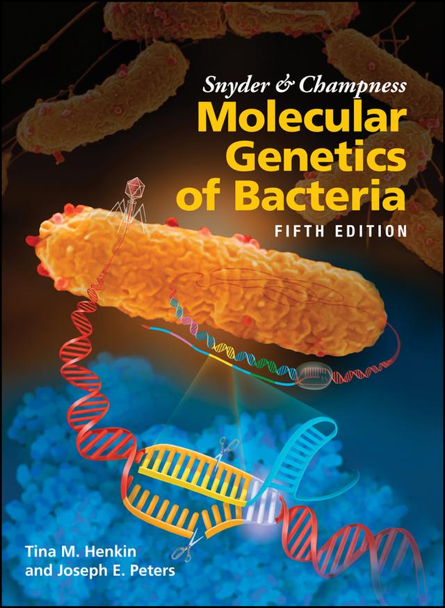 Snyder and Champness Molecular Genetics of Bacteria by Joseph E. Peters, Tina M. Henkin