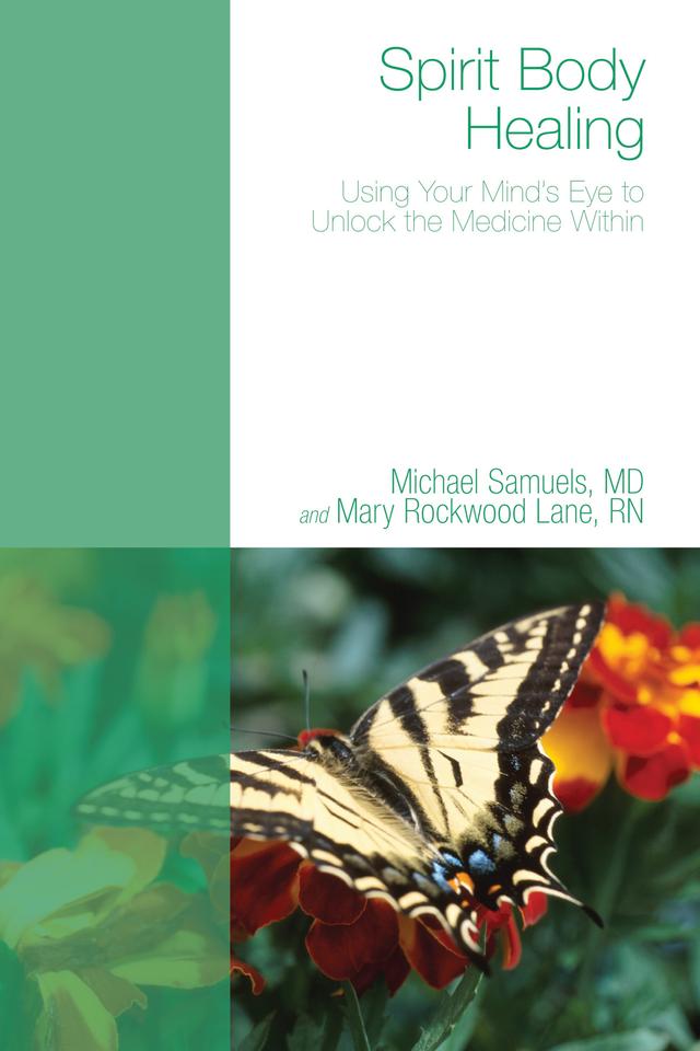 Spirit Body Healing by Mary Rockwood Lane RN, PhD, Michael Samuels MD
