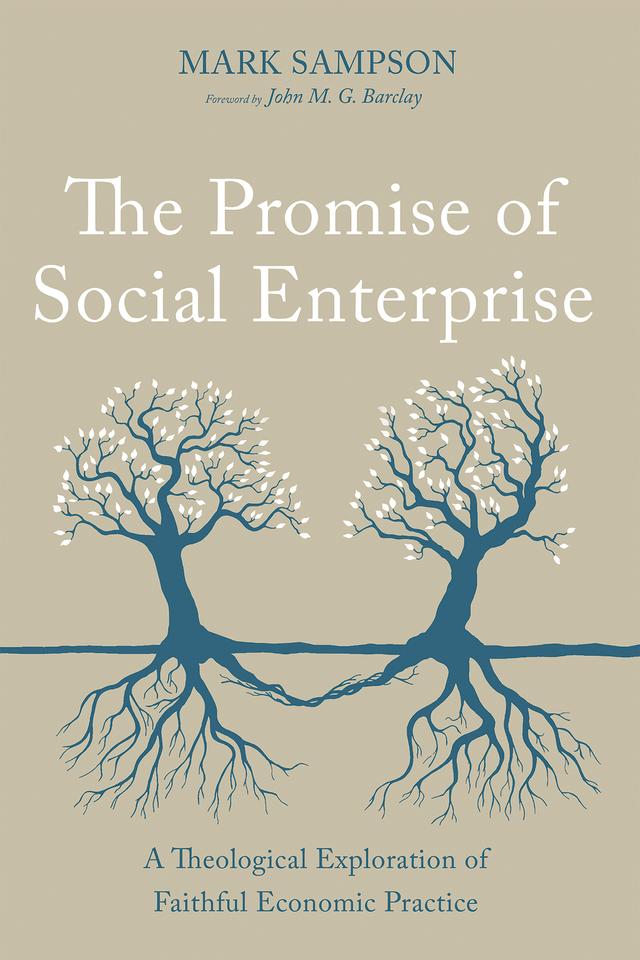 The Promise of Social Enterprise by John M. G. Barclay, Mark Sampson