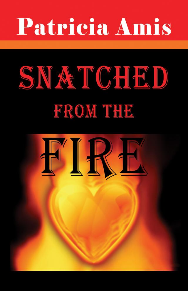 Snatched from the Fire by Patricia Amis