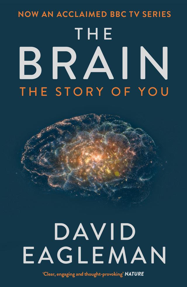 The Brain by David Eagleman