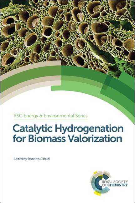 Catalytic Hydrogenation for Biomass Valorization by Roberto Rinaldi