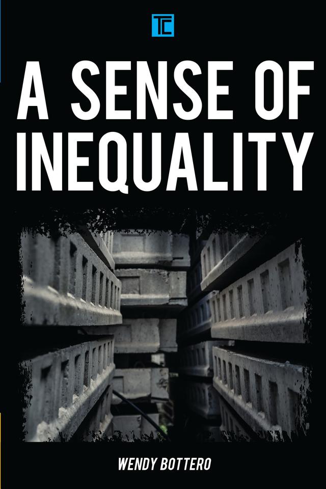 A Sense of Inequality by 