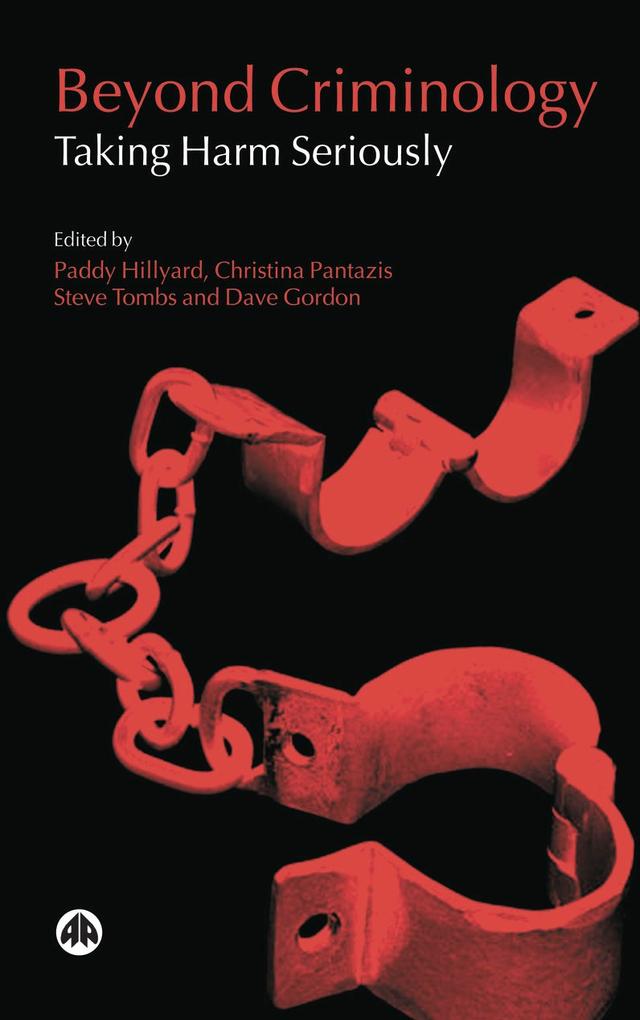 Beyond Criminology by Christina Pantazis, Dave Gordon, Paddy Hillyard, Steve Tombs