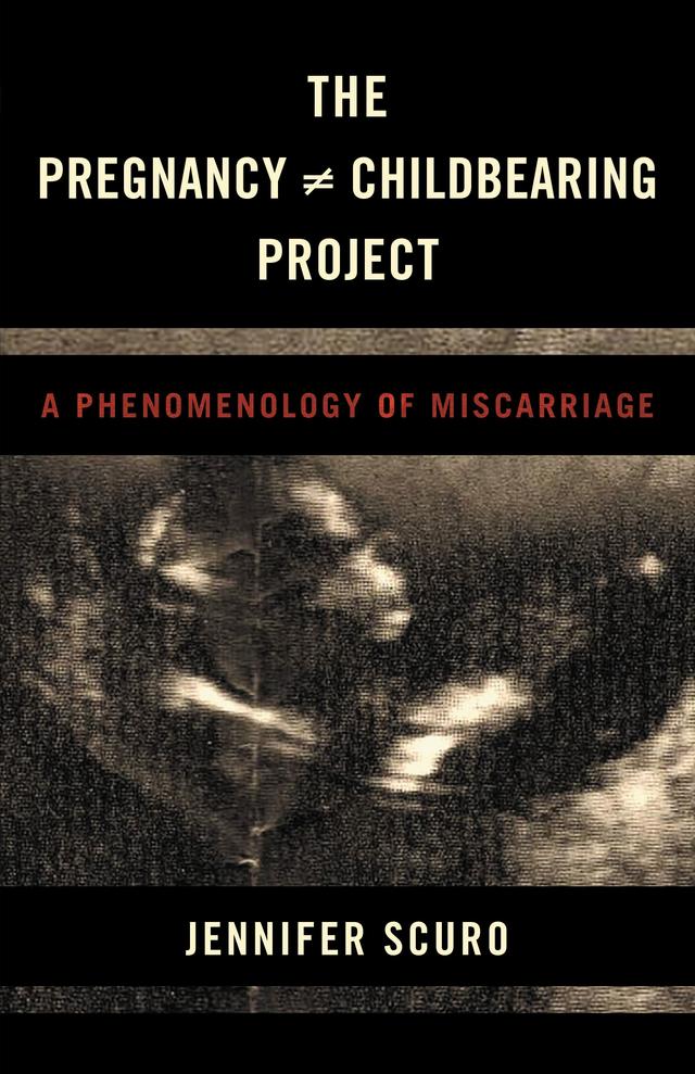 The Pregnancy [does-not-equal] Childbearing Project by Jennifer Scuro