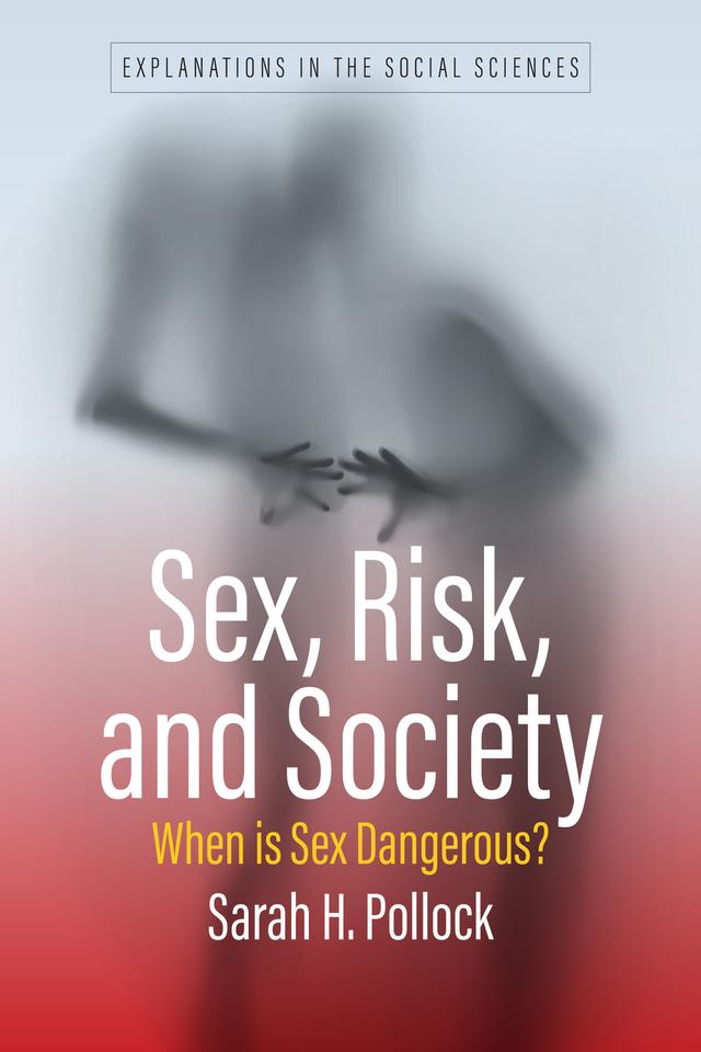 Sex, Risk, and Society by Sarah H. Pollock