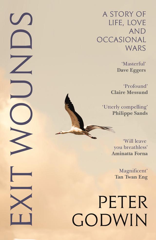 Exit Wounds by Peter Godwin