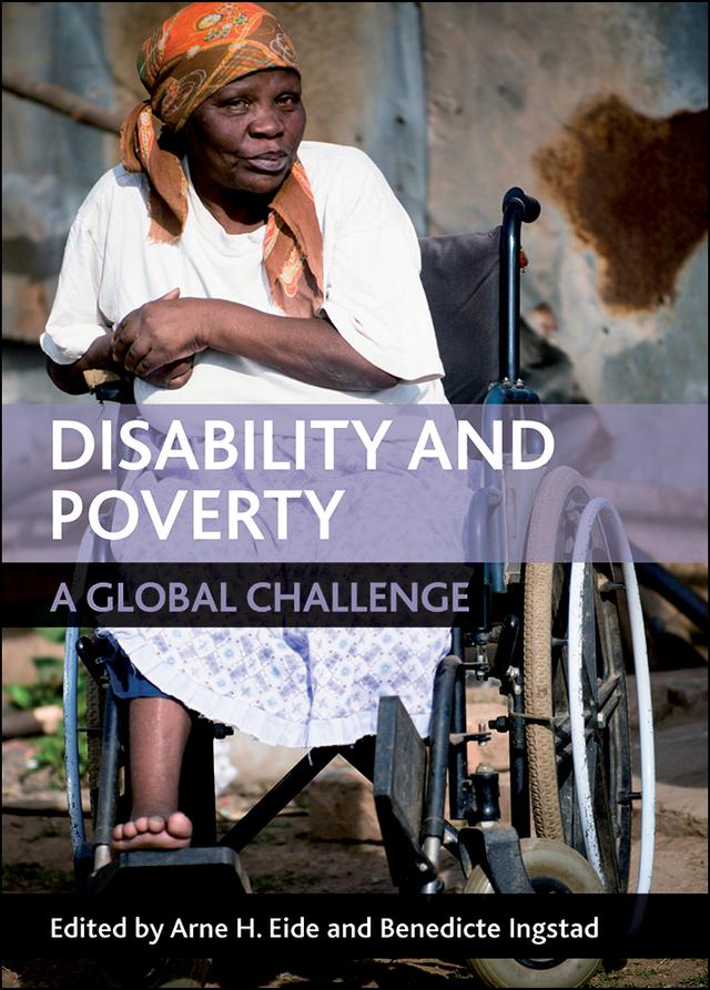 Disability and Poverty by Arne H. Eide, Benedicte Ingstad