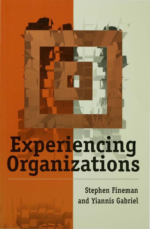 Experiencing Organizations by Stephen Fineman