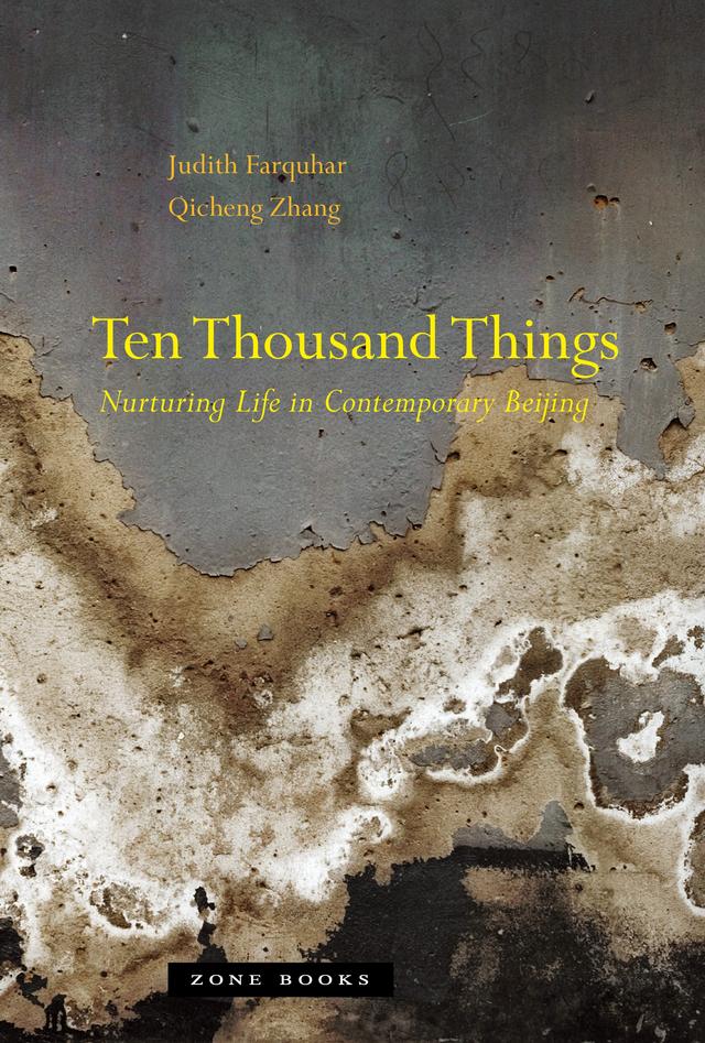 Ten Thousand Things by Judith Farquhar, Qicheng Zhang