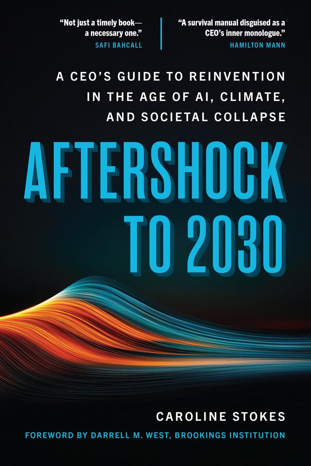 Aftershock to 2030 by Caroline Stokes