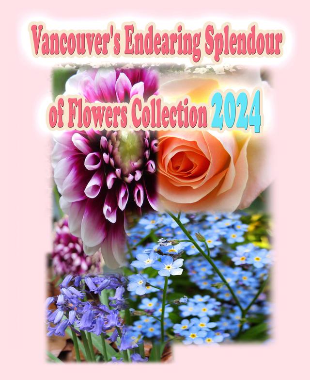 Vancouver's Endearing Splendour of Flowers Collection 2024 by Annie Ho, Rowena Kong