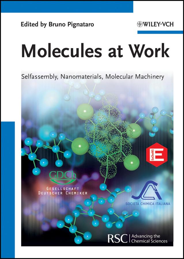 Molecules at Work by Bruno Pignataro