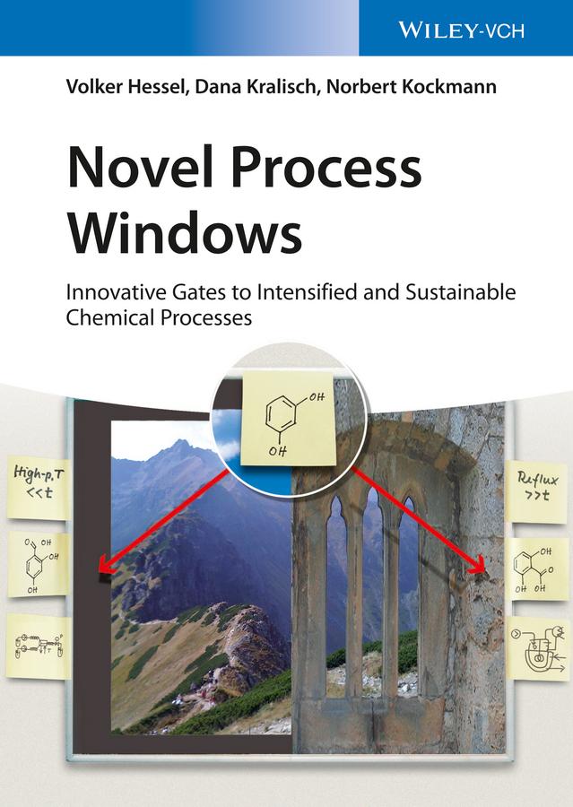 Novel Process Windows by Dana Kralisch, Norbert Kockmann, Volker Hessel