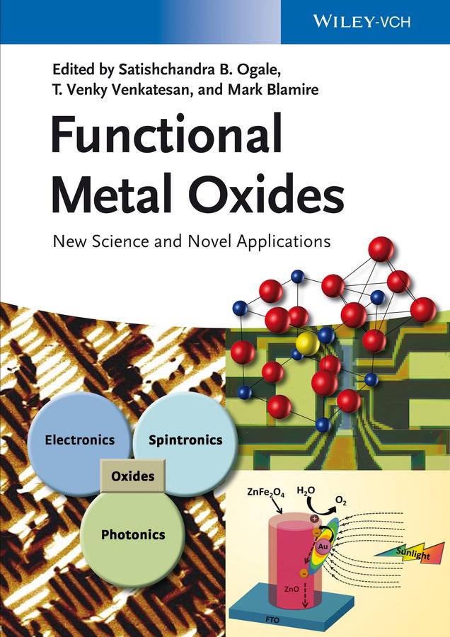 Functional Metal Oxides by Mark Blamire, Satishchandra Balkrishna Ogale, T. Venky Venkatesan