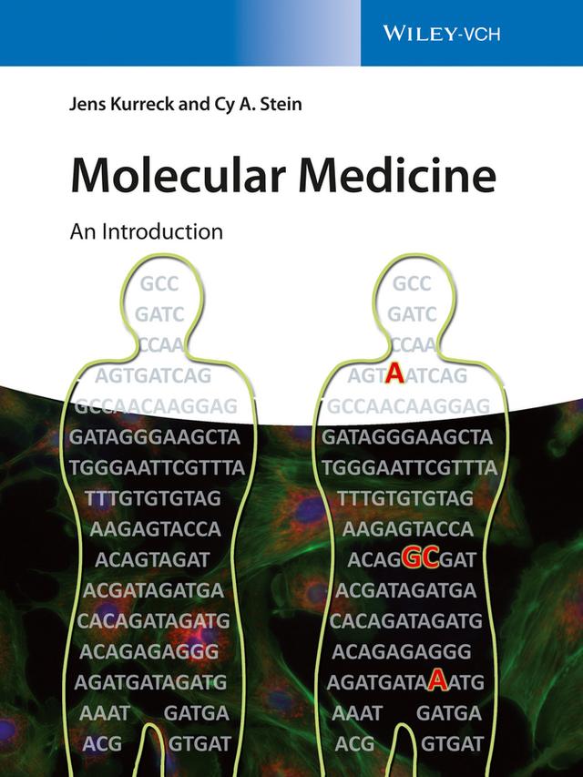 Molecular Medicine by Cy Aaron Stein, Jens Kurreck