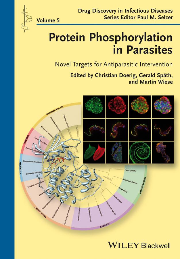Protein Phosphorylation in Parasites by Christian Doerig, Gerald Spaeth, Martin Wiese, Paul M. Selzer