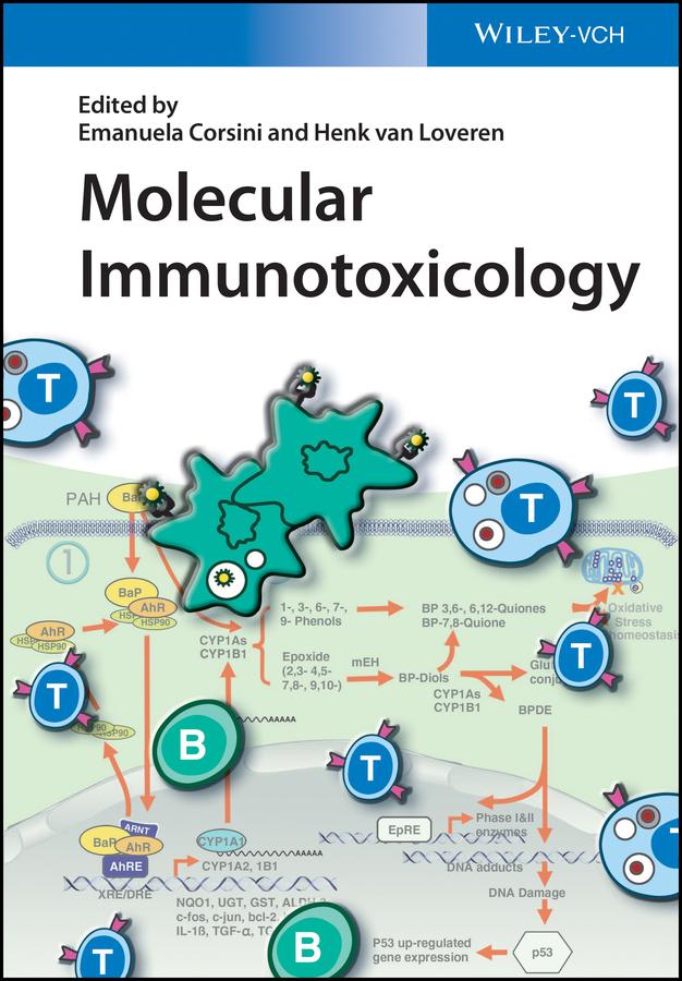 Molecular Immunotoxicology by Emanuela Corsini, Henk Van Loveren