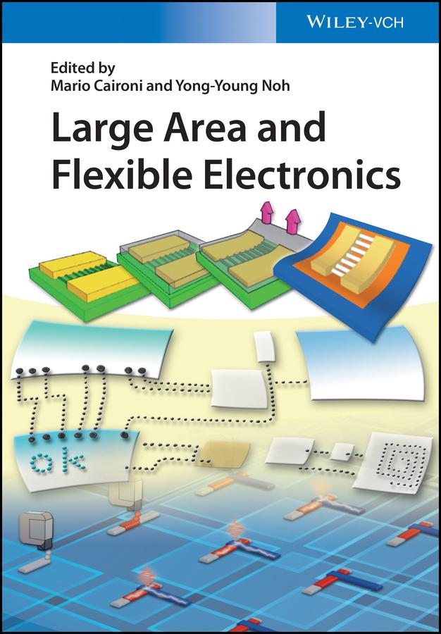 Large Area and Flexible Electronics by Mario Caironi, Yong-Young Noh