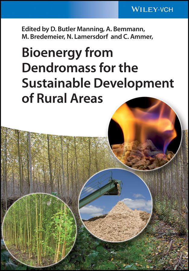 Bioenergy from Dendromass for the Sustainable Development of Rural Areas by Albrecht Bemmann, Christian Ammer, David Butler Manning, Michael Bredemeier, Norbert Lamersdorf