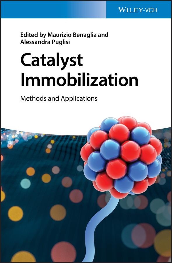 Catalyst Immobilization by Alessandra Puglisi, Maurizio Benaglia