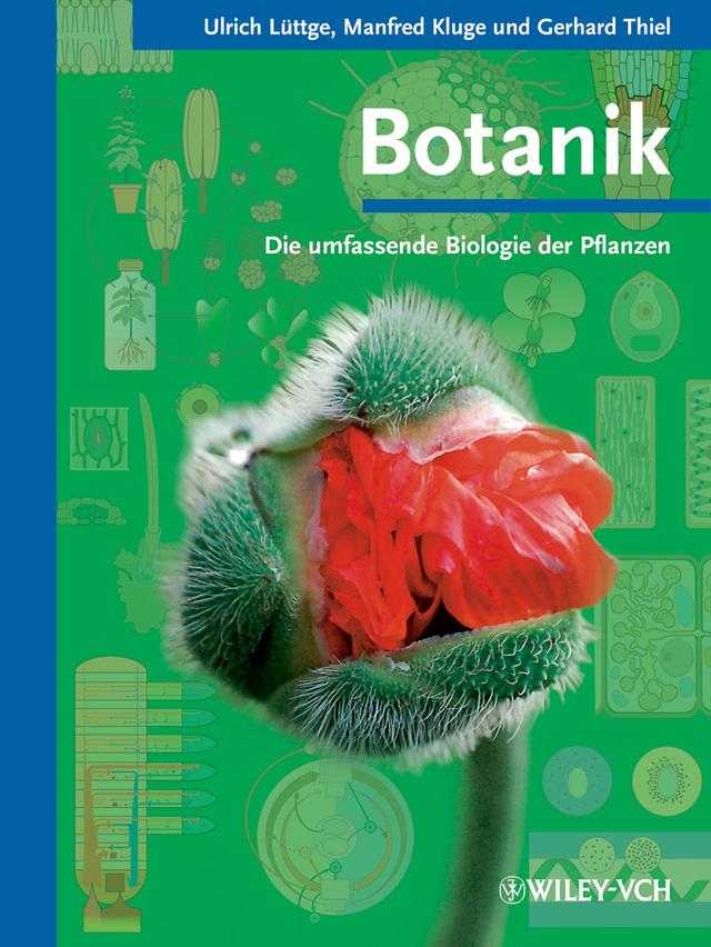 Botanik by Gerhard Thiel, Manfred Kluge, Ulrich Lüttge