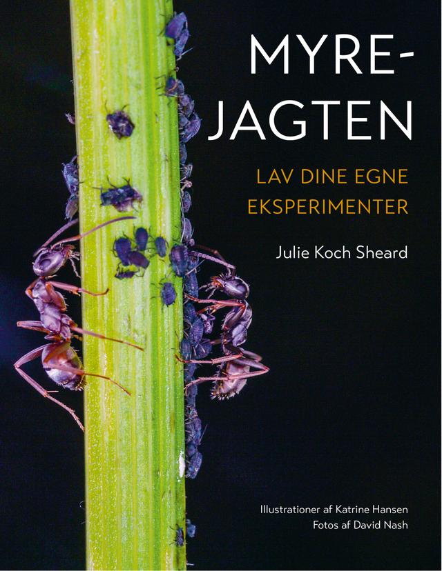 Myrejagten by Julie Koch Sheard