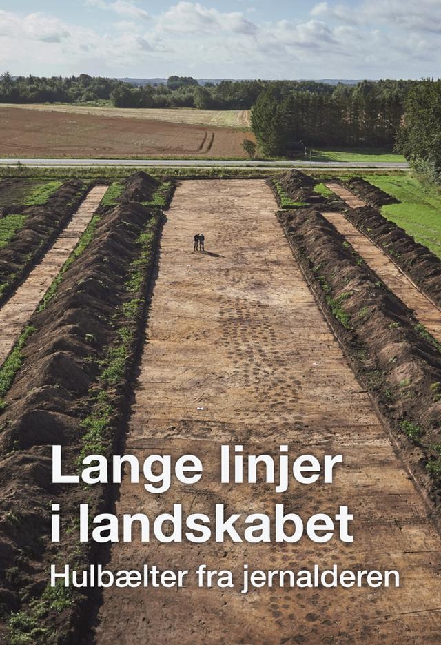 Lange linjer i landskabet by Palle Eriksen, Per Ole Rindel