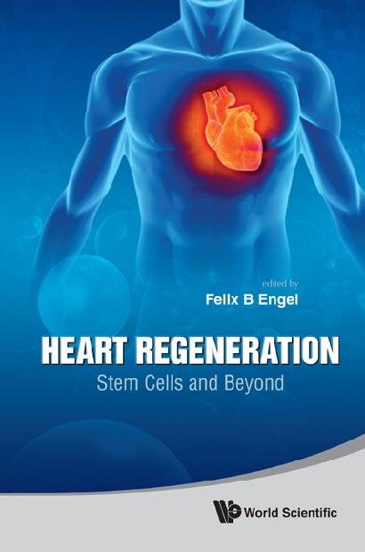 HEART REGENERATION: STEM CELLS & BEYOND by Engel Felix B