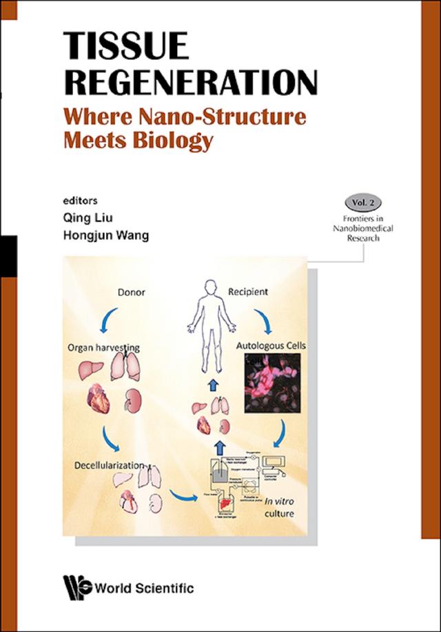 TISSUE REGENERATION: WHERE NANO STRUCTURE MEETS BIOLOGY by Hongjun Wang, Qing Liu