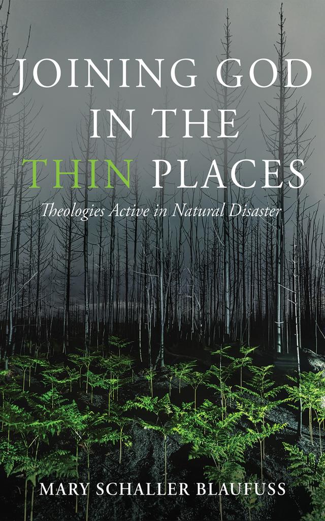 Joining God in the Thin Places by Mary Schaller Blaufuss