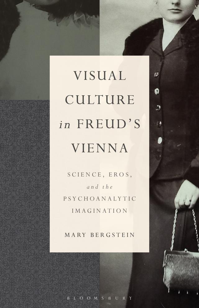 Visual Culture in Freud's Vienna by Esther Rashkin, Mari Ruti, Mary Bergstein, Peter L. Rudnytsky